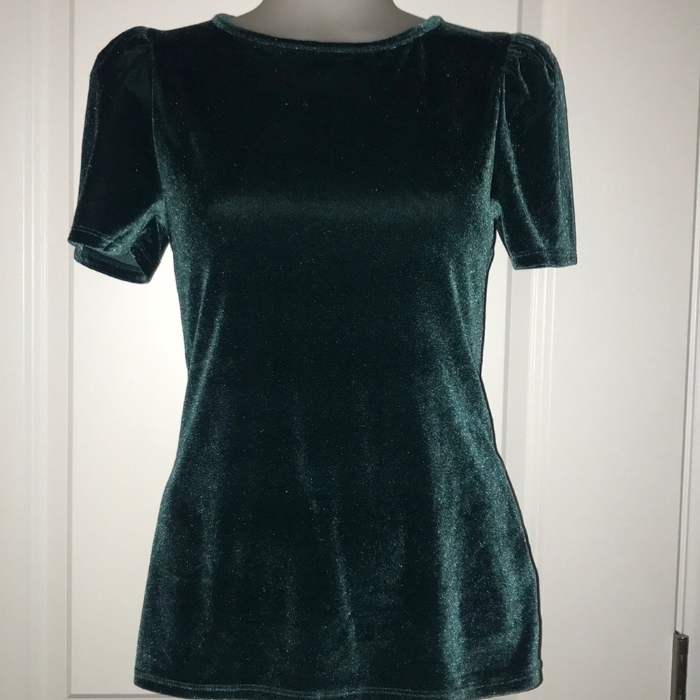 Dark Teal Velour Blouse
